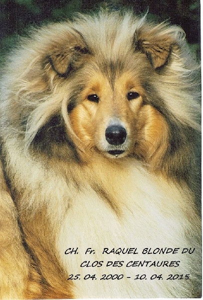CH. Raquel blonde Du clos des centaures