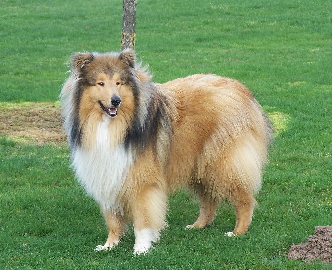 d'Ivoirie Field - LOUP, 10 mois