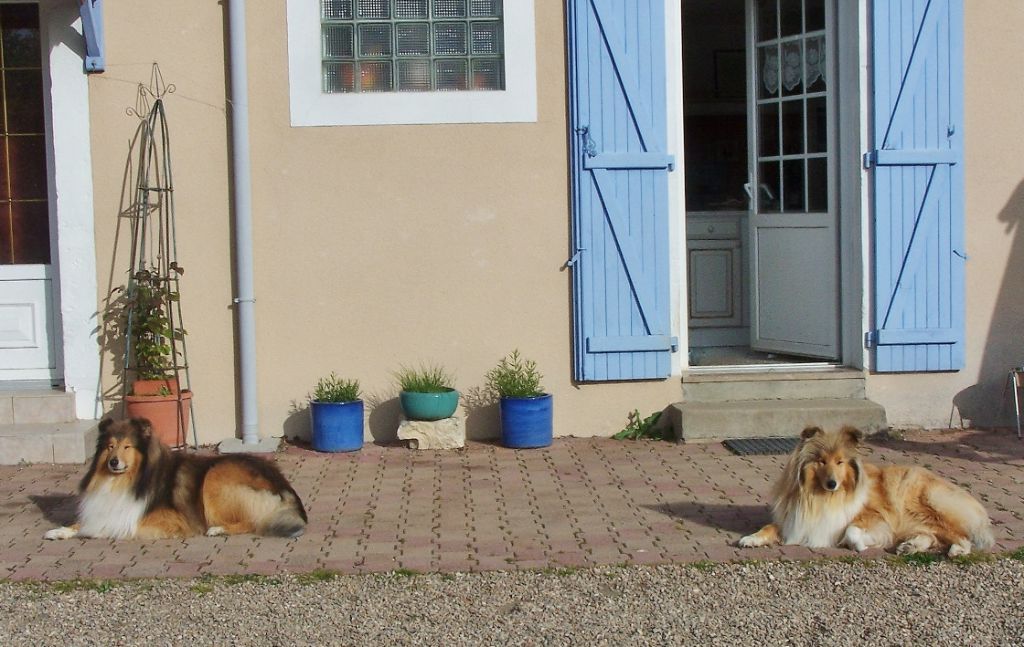 d'Ivoirie Field - LES FUTURS PARENTS ...