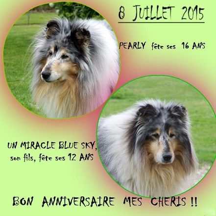 d'Ivoirie Field - DOUBLE ANNIVERSAIRE.