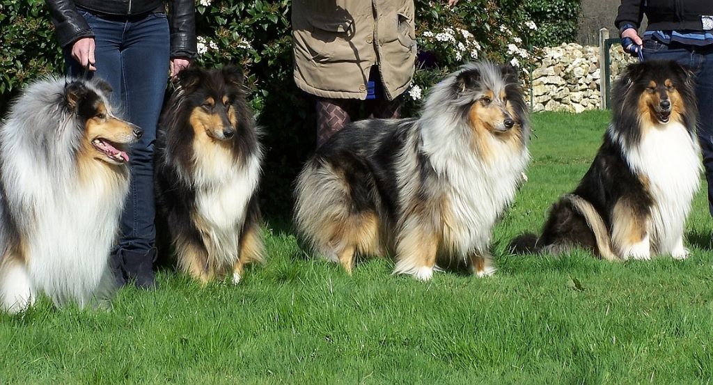 d'Ivoirie Field - FENZA EN FAMILLE