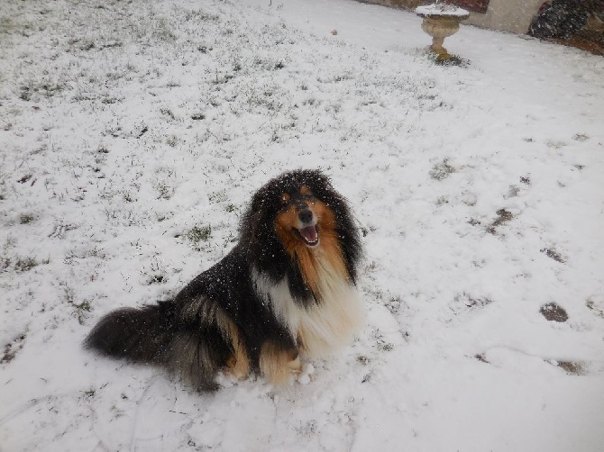 d'Ivoirie Field - INDIANA, 2 ANS