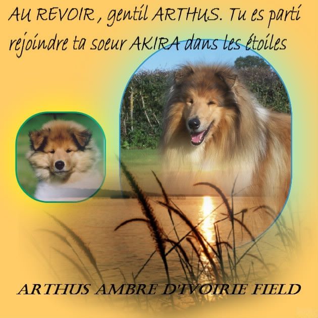 d'Ivoirie Field - ARTHUS nous a quittés ...