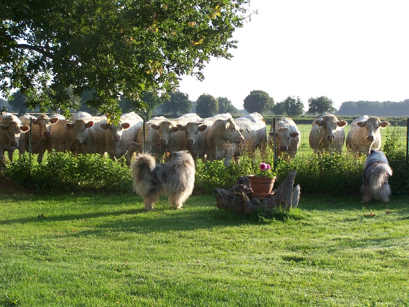RENCONTRE DU 3è TYPE ....