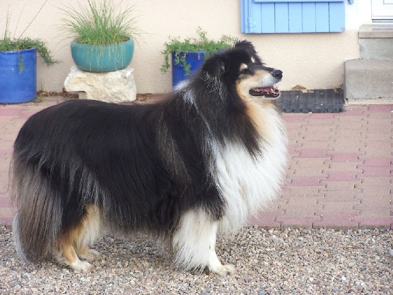 VAL en visite dans la famille. Septembre 2015