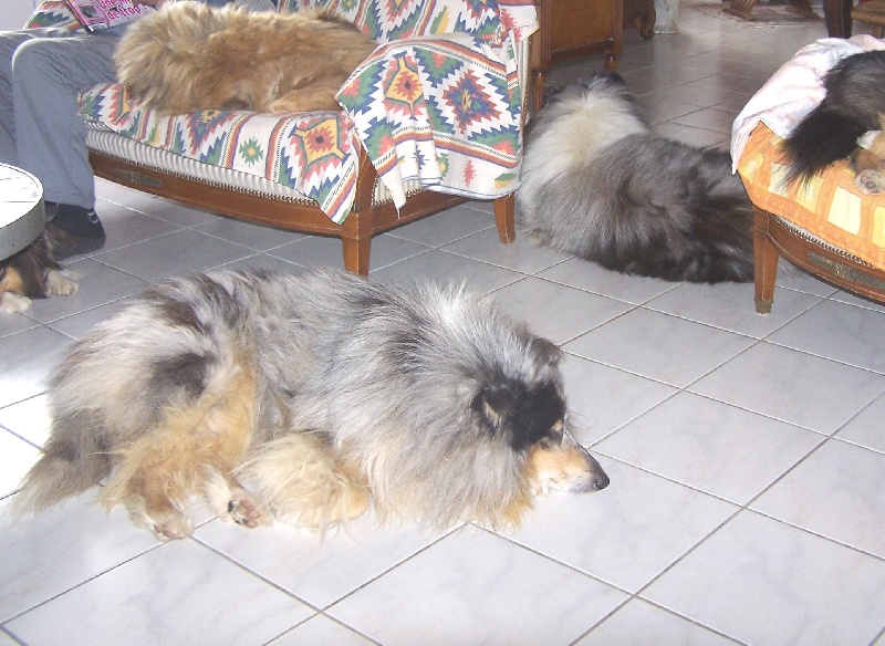 VARGO, moments de tendresse