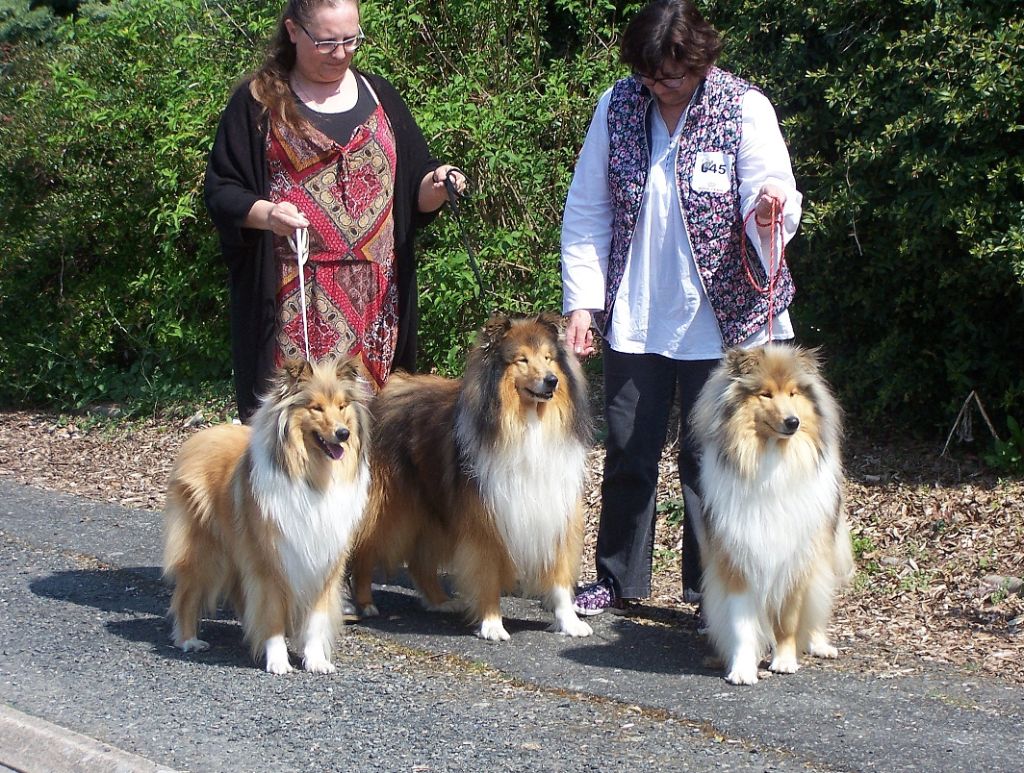 EXPOSITION CANINE CHATEAUROUX 20.4.19